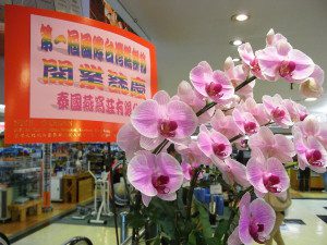  Yue Hwa Chinese Products Emporium 1st Pastry Fectival Taiwan pink flowers Sept-2012. By Argoamgomoa (Own work) [CC BY-SA 3.0 (http://creativecommons.org/licenses/by-sa/3.0)], via Wikimedia Commons 