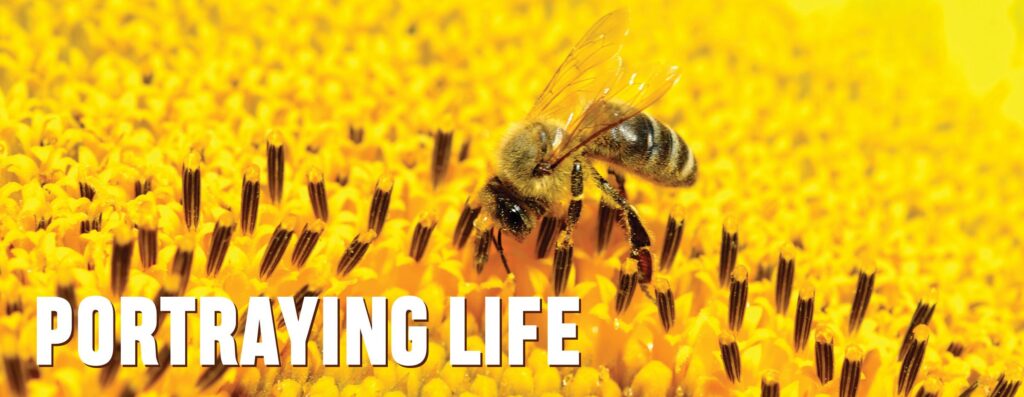 Read more about the article HOW ADVERTISEMENTS HAVE BECOME A PART OF OUR LIVES