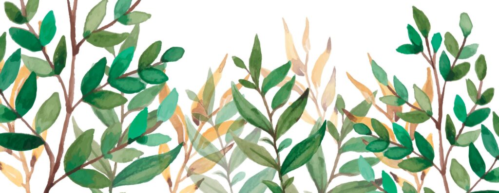 You are currently viewing THE RISE OF GREEN BEAUTY