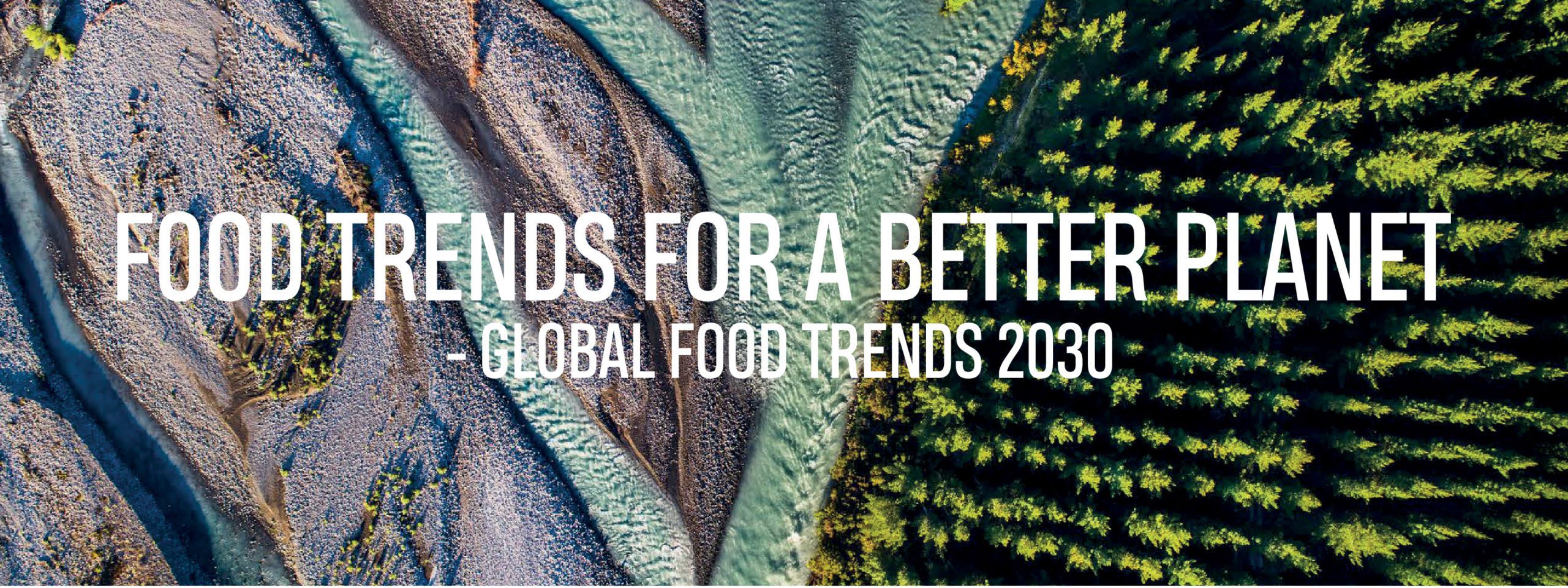 Read more about the article FOOD TRENDS FOR A BETTER PLANET