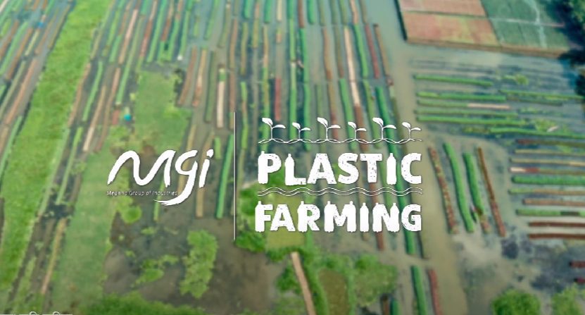 Read more about the article Plastic Farming Turns Climate Refugees Into Farmers Again