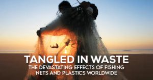 Read more about the article Tangled in Waste: The Devastating Effects of Fishing Nets and Plastics Worldwide