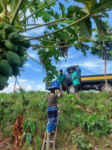 Read more about the article Unilever Bangladesh, the UK Government and EY jointly award two Bangladeshi climate impact enterprises grant of BDT 10 million each