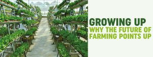Read more about the article GROWING UP: WHY THE FUTURE OF FARMING POINTS UP