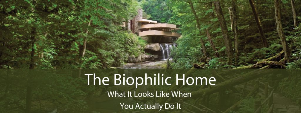 Read more about the article The Biophilic Home — What It Looks Like When You Actually Do It