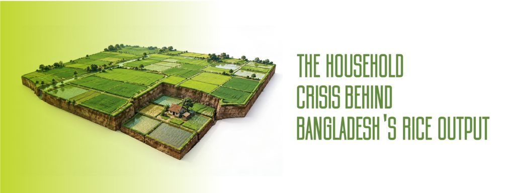 You are currently viewing The Household Crisis Behind Bangladesh’s Rice Out